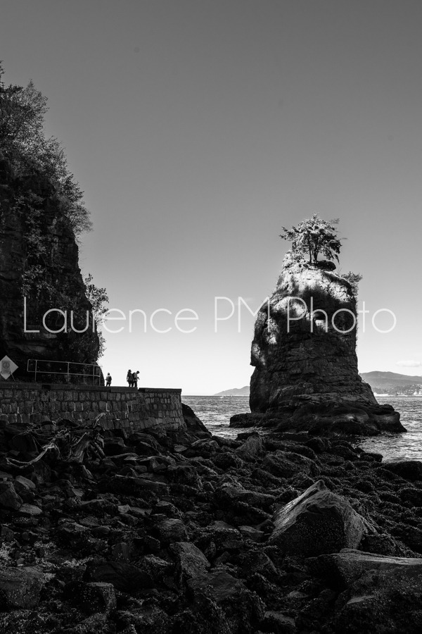 Achat de photo de Vancouver Stanley Siwash Rock en noir et blanc